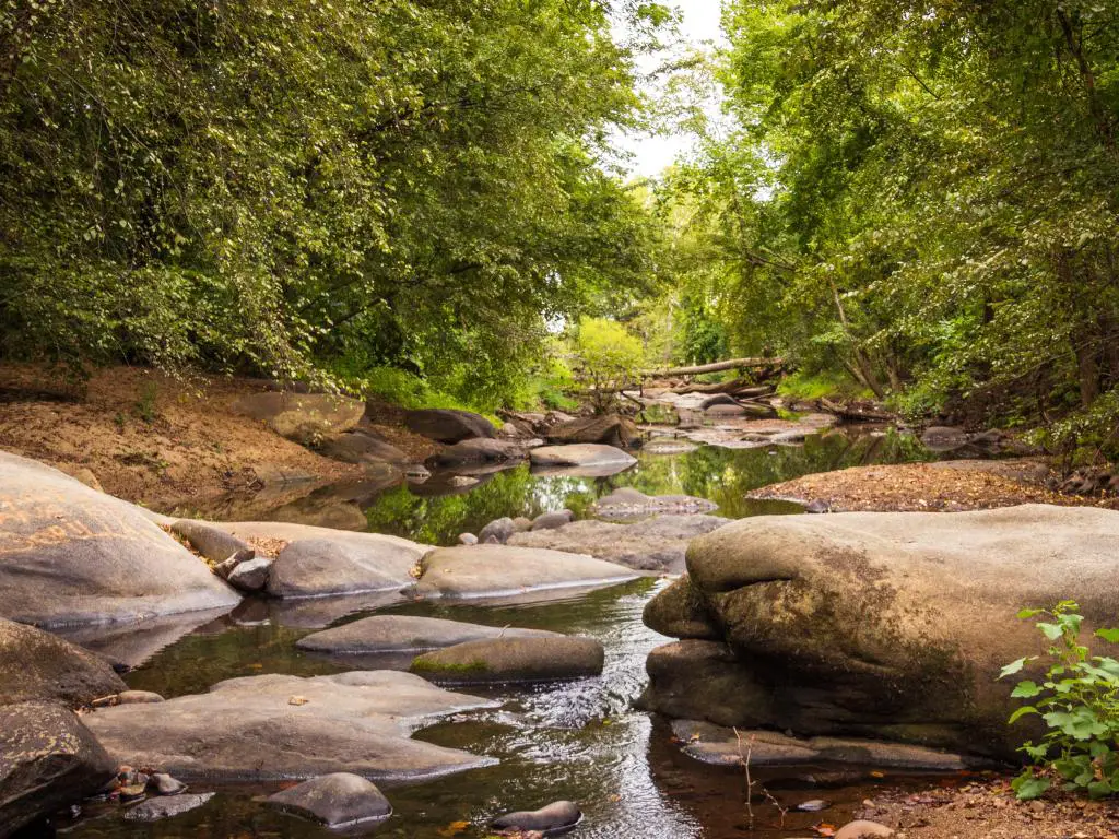 Richmond, Virginia, EE.UU. tomada en septiembre Stream en el río James con rocas y árboles en la distancia.