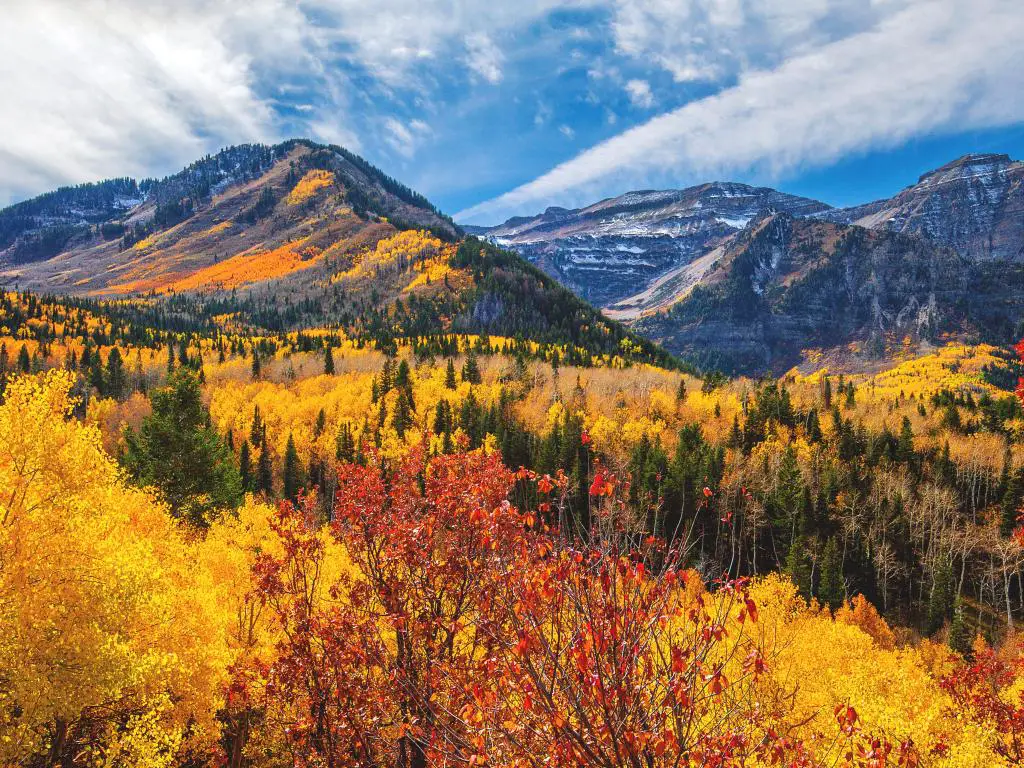 Wasatch Mountains, Utah, EE.UU. cerca de Salt Lake City tomada durante el otoño con follaje de árbol amarillo y rojo y en el desierto de Mount Timpanogos con las montañas en la distancia y tomada en un día soleado.