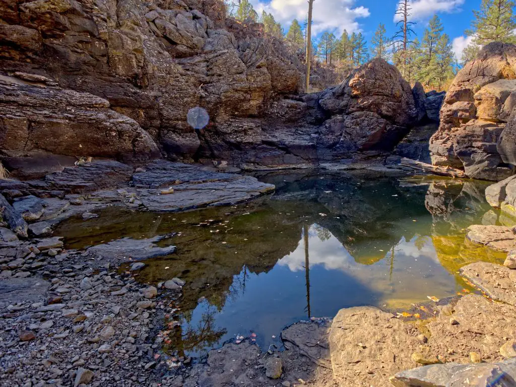 Bosque Nacional Kaibab, Williams, Arizona, EE.UU. tomado cerca de uno de varios estanques naturales cerca de Sycamore Falls conocido como Pomeroy Tanks. 