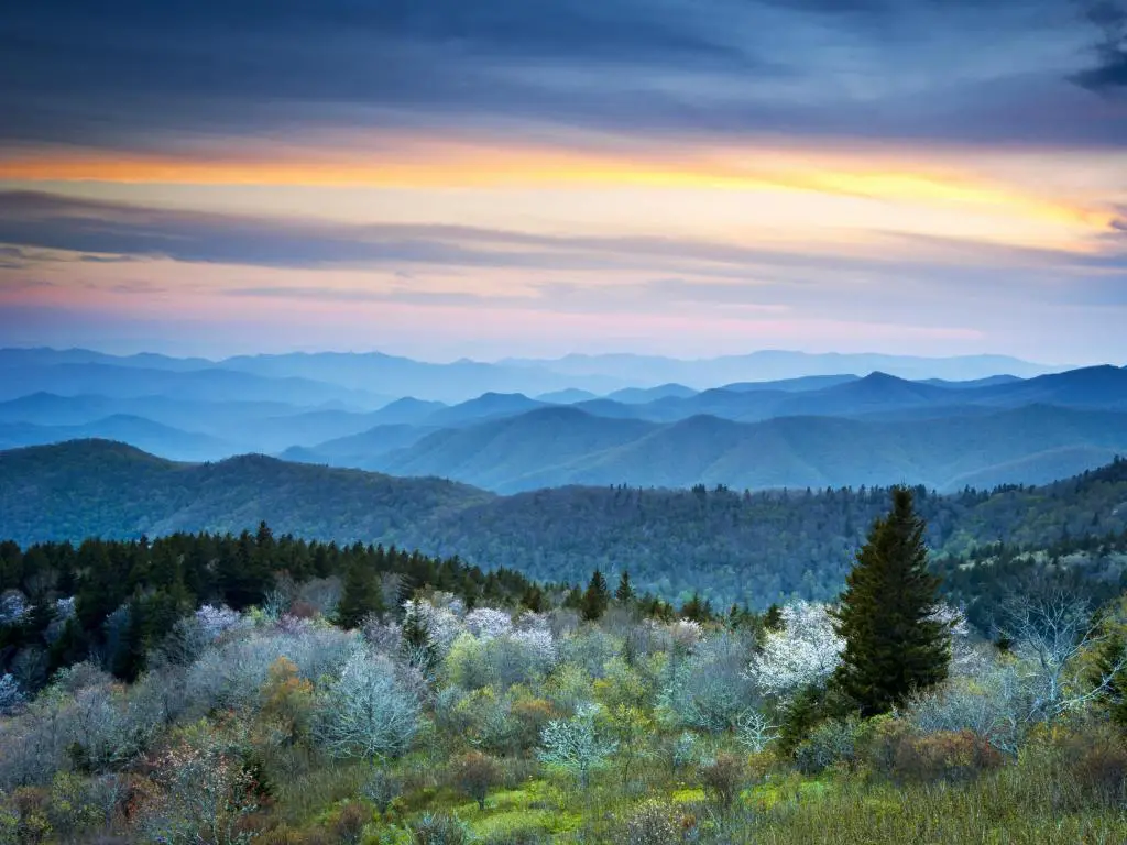 Blue Ridge Parkway, Appalachians Smoky Mountains, EE. UU. Con una vista panorámica de las montañas en la distancia tomada en primavera con flores en primer plano y tomada al amanecer temprano.