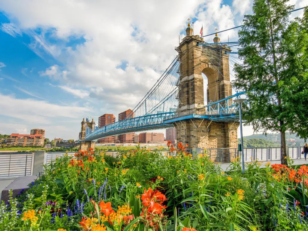 Cincinnati, Ohio, EE.UU. tomada en el Smale Riverfront Park en Cincinnati, Ohio, junto al puente colgante John A Roebling con bonitas flores en primer plano.