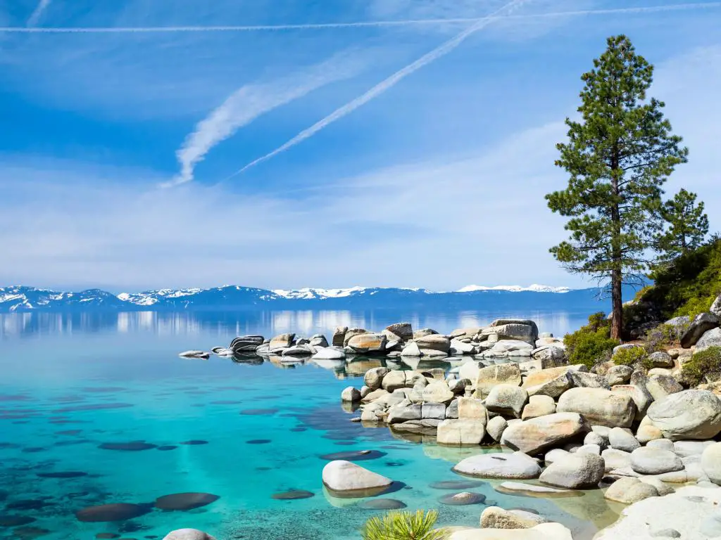 Lake Tahoe, EE.UU. con agua turquesa y rocas en primer plano, un árbol solitario y montañas cubiertas de nieve a lo lejos en un día soleado.