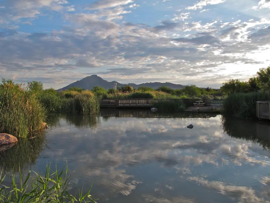 Clark County Wetlands Park, Las Vegas, Nevada, EE.UU. con reflejos de espejo en el lago en primer plano y pastos y montañas en la distancia.
