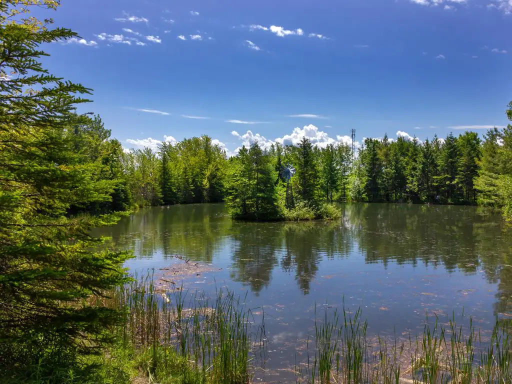 Lamoureux Park, Ontario, Canadá, con vistas al hermoso parque y un gran estanque rodeado de árboles en un día claro y soleado.