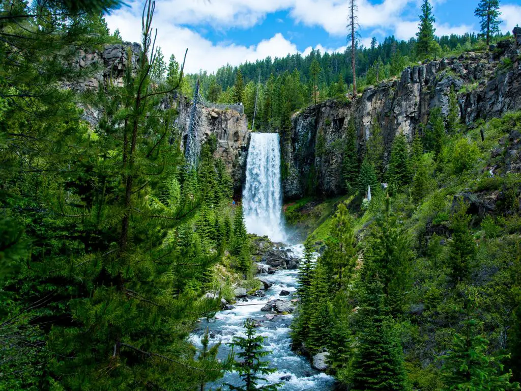 Bend, Oregón, Estados Unidos, tomada en Tumalo Falls, rodeada de árboles verdes. 