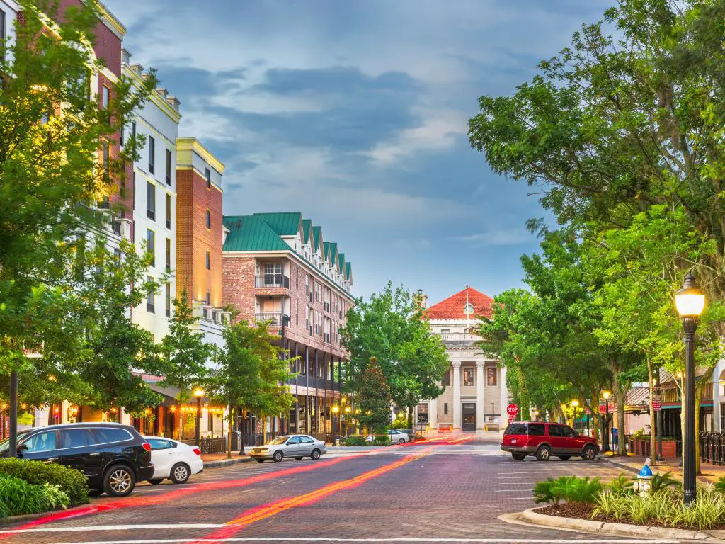 Paisaje urbano del centro de Gainesville, Florida, EE.UU. al atardecer con árboles y farolas que bordean la calle.