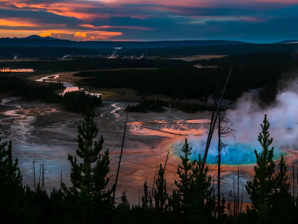 Parque Nacional de Yellowstone, EE. UU. Tomado después de la puesta de sol en el Grand Prizmatic Overlook con árboles en primer plano y el vapor de los cráteres en la distancia. 