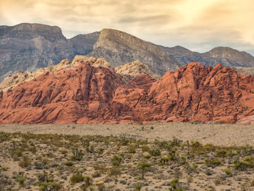 Área de Conservación Nacional de Red Rock Canyon, Las Vegas, Nevada, EE.UU. con rocas rojas en el desierto tomadas al atardecer.