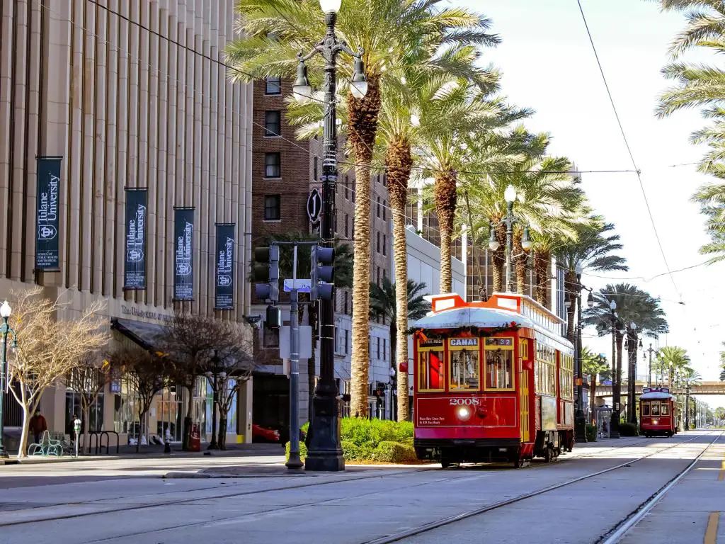 Nueva Orleans, Luisiana, EE.UU. con un tranvía en St. Charles Ave, palmeras y tomadas en un día soleado.
