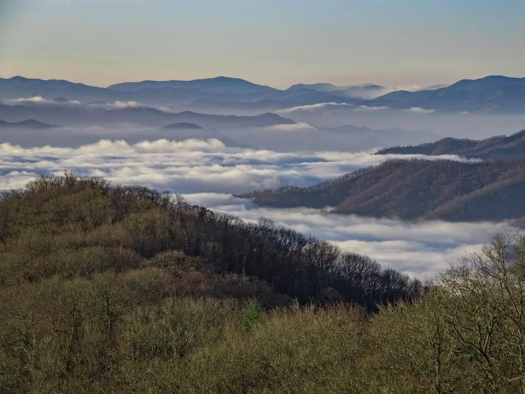 Parque Nacional Great Smoky Mountains, Carolina del Norte, EE. UU. Tomado durante la mañana temprano con niebla baja/nube sobre las montañas cubiertas de árboles. 