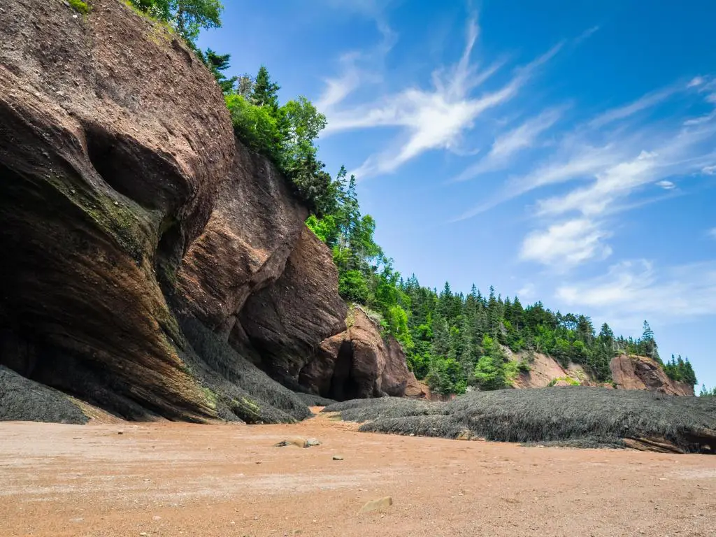 Bahía de Fundy, Canadá tomada en Hopewell Rocks durante la marea baja en un día soleado.