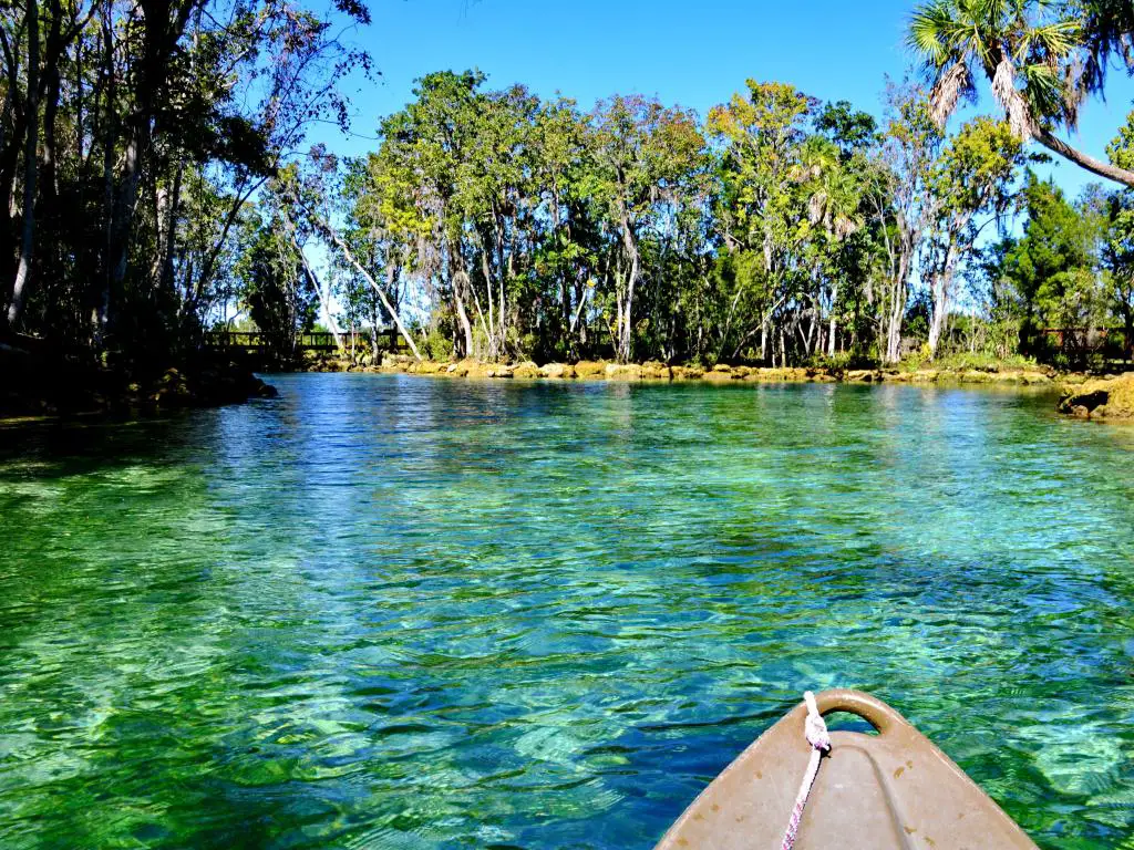 Three Sisters Springs, Crystal River, Florida, EE.UU. con agua turquesa clara y árboles en la distancia tomada en un día claro y soleado.