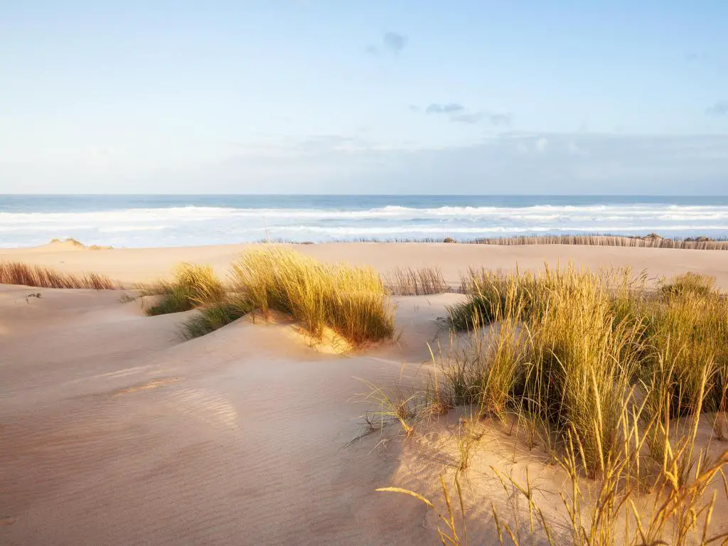 Pensacola, Florida, EE.UU. con dunas de arena y el océano en la distancia tomada en una mañana soleada.