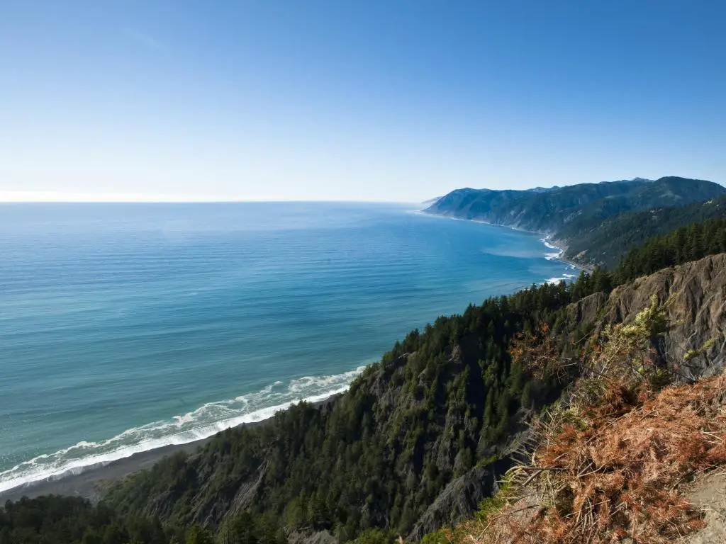 Área de Conservación Nacional Kings Range, California, EE.UU., que se extiende a lo largo de la costa del Pacífico norte de California tomada en un día claro y soleado con árboles y el océano debajo de los acantilados.