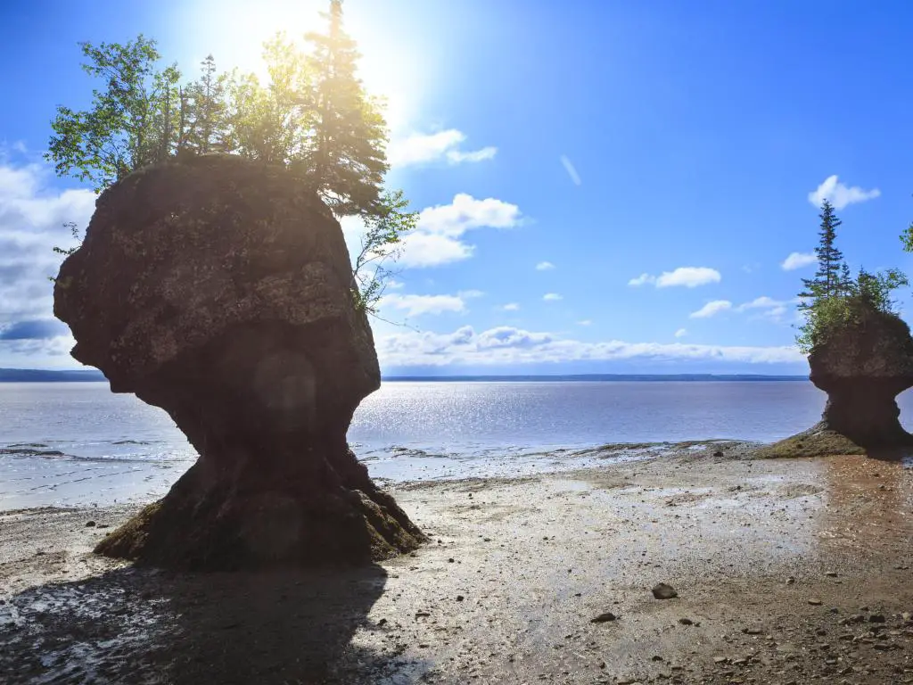 Parque Provincial Hopewell Rocks, New Brunswick, Canadá, tomado en un día soleado con la marea baja y las rocas en primer plano con árboles creciendo en la parte superior.