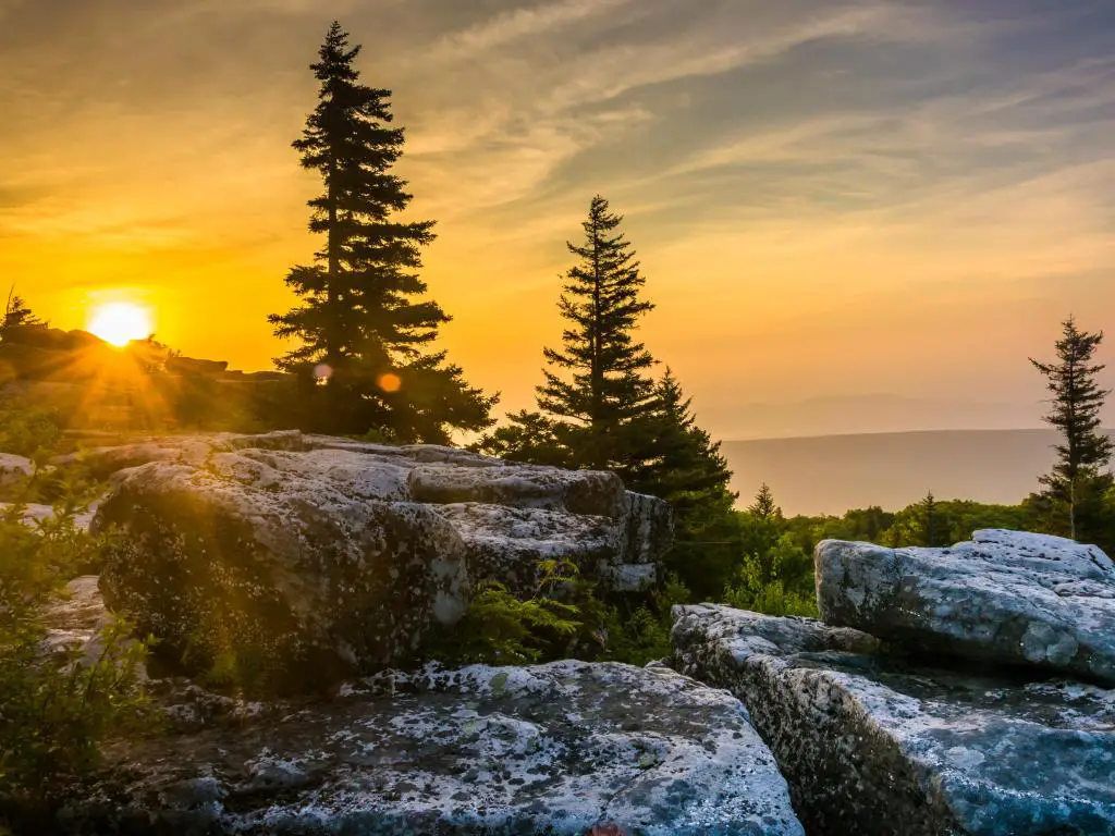 Bosque Nacional Monongahela, Virginia Occidental, EE.UU. con amanecer en Bear Rocks Preserve, en Dolly Sods Wilderness.