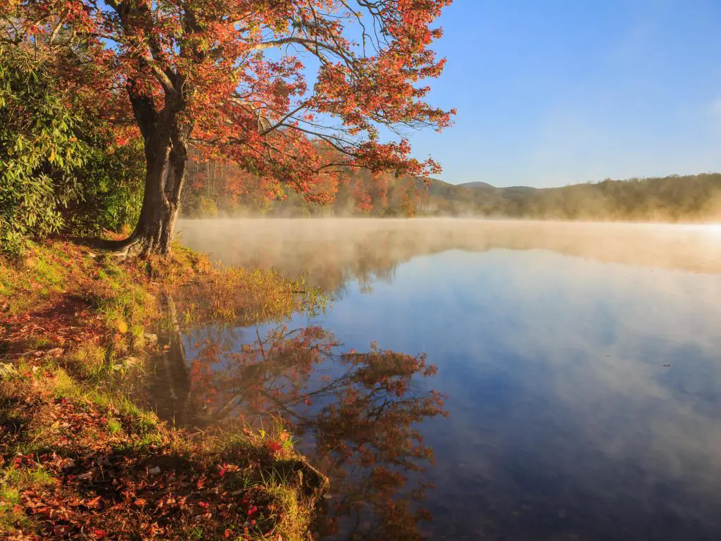 Blowing Rock, Carolina del Norte, EE.UU. con niebla matutina saliendo del agua del lago Julian Price, árboles en colores otoñales que rodean el lago en un día claro y soleado.