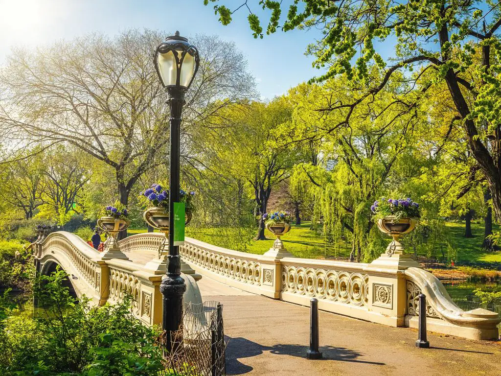 Ciudad de Nueva York, EE.UU. tomada en el puente Bow en Central Park en un día soleado con flores y árboles verdes alrededor. 