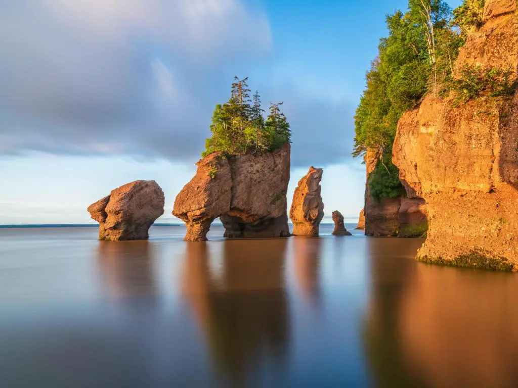 Hopewill Rock, New Brunswick, Canadá, tomada al amanecer durante la marea alta, con rocas altas en el mar y árboles que crecen en la parte superior.