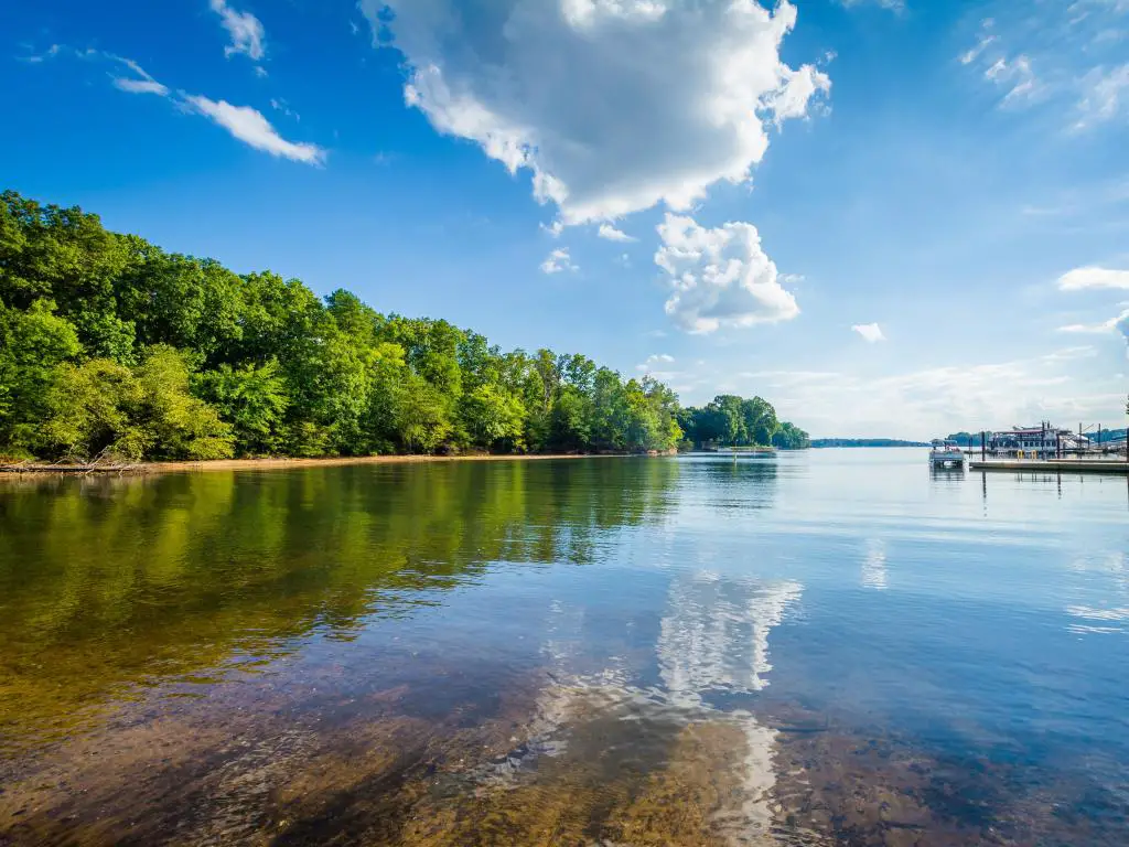 Lake Norman, Carolina del Norte, EE. UU. En un día soleado con un cielo azul, el agua en primer plano refleja las nubes y la costa bordeada de árboles.