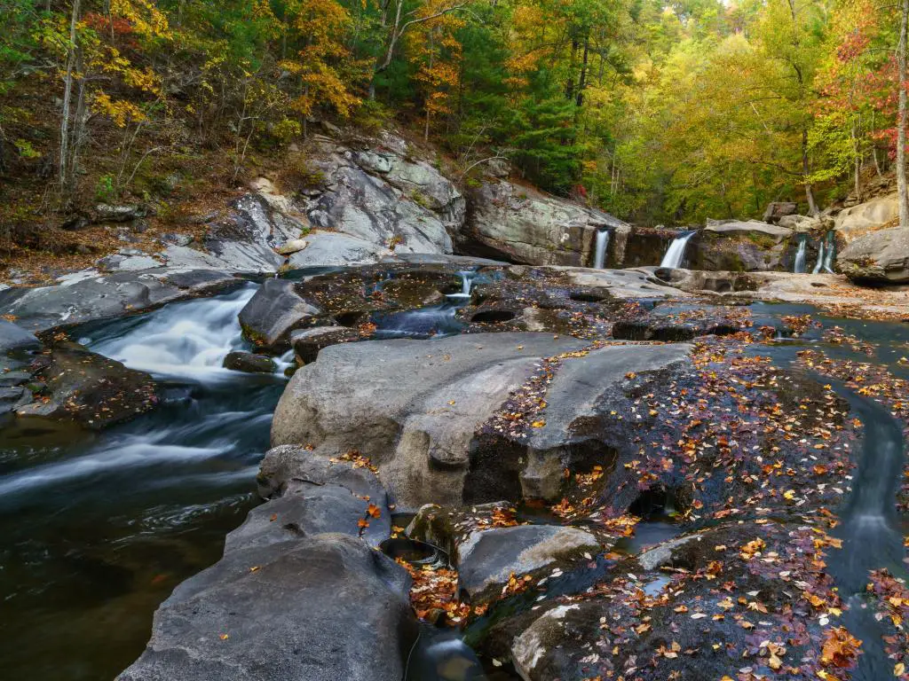 Bosque Nacional Cherokee.  Montes Apalaches, Tennessee, EE. UU. con el río Tellico y las llanuras de Tellico en primer plano, pequeñas cascadas y rápidos y rodeados de árboles de otoño con hojas caídas en primer plano.