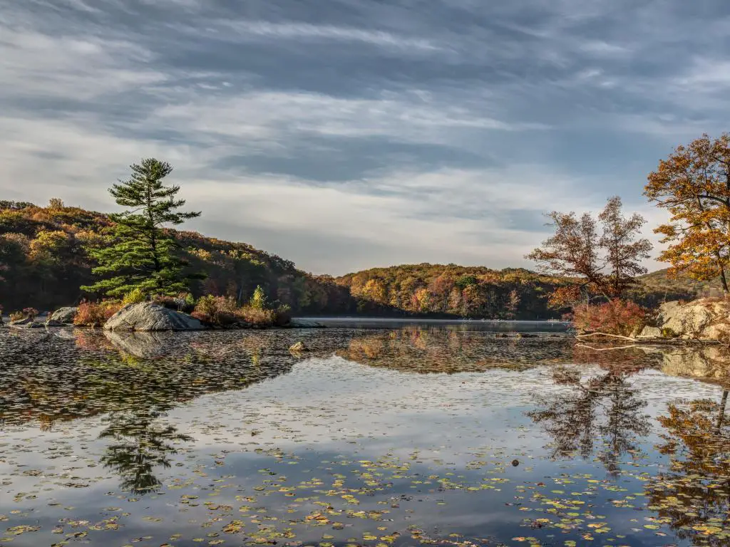 Harriman State Park, Nueva York, EE.UU. tomada durante el otoño con un lago en primer plano y árboles caídos en la superficie, árboles y colinas en el fondo. 