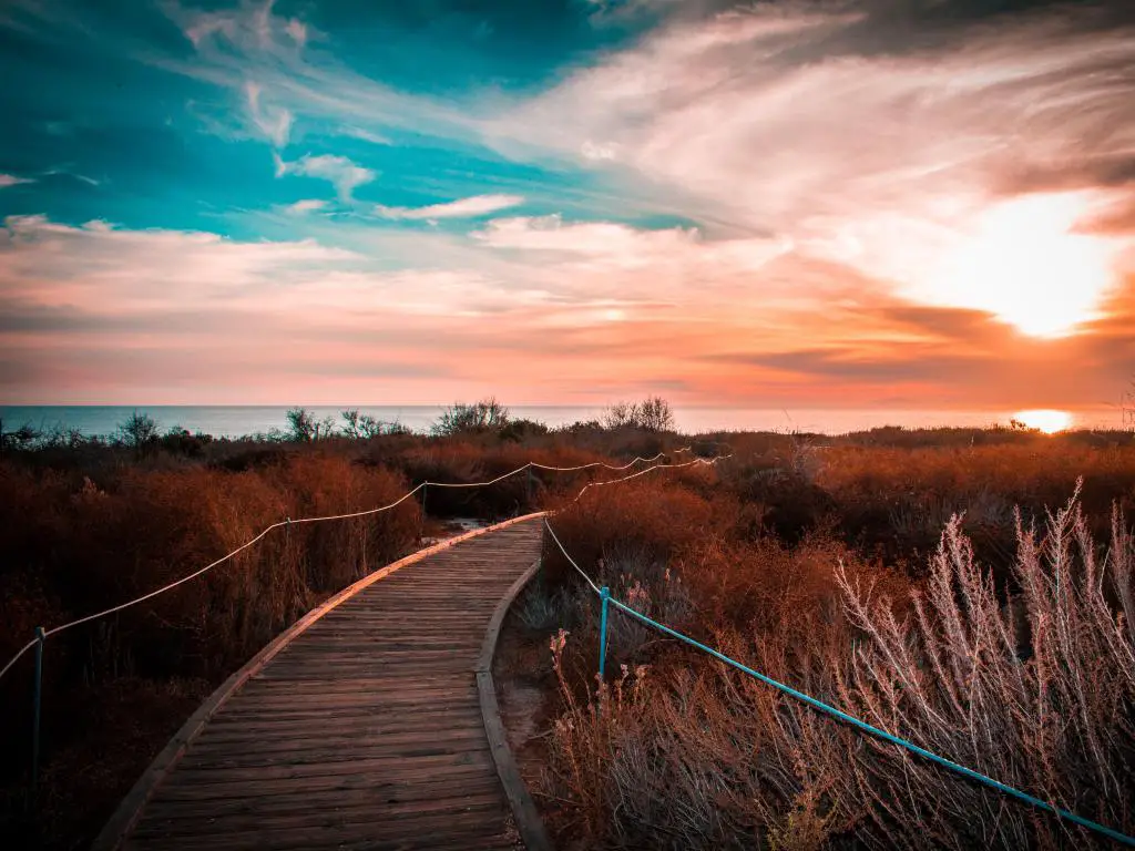 Crystal Cove State Park, California, EE.UU., con un paseo marítimo que conduce a dunas cubiertas de hierba y una puesta de sol en la distancia.