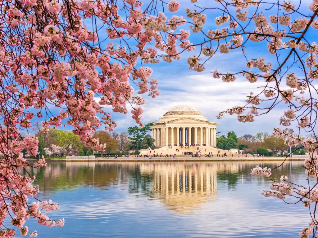 Washington, DC en Tidal Basin y Jefferson Memorial durante la primavera.