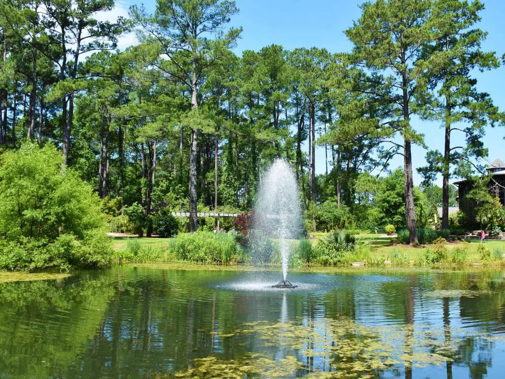 Fayetteville, Carolina del Norte, EE. UU. Tomada en el Jardín Botánico Cape Fear con un estanque y una fuente de agua en primer plano, rodeada de árboles altos en la distancia y tomada en un día soleado.