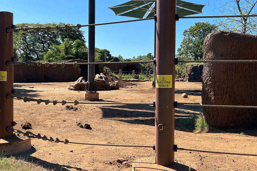 Recinto de elefantes del zoológico de Honolulu.