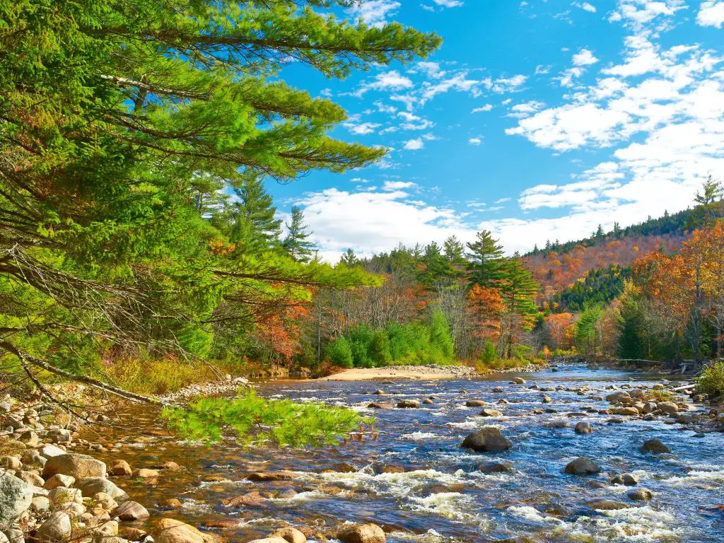 Bosque Nacional White Mountain, New Hampshire, Estados Unidos con el río Swift en otoño, con rocas y árboles que rodean el río tomado en un día soleado.