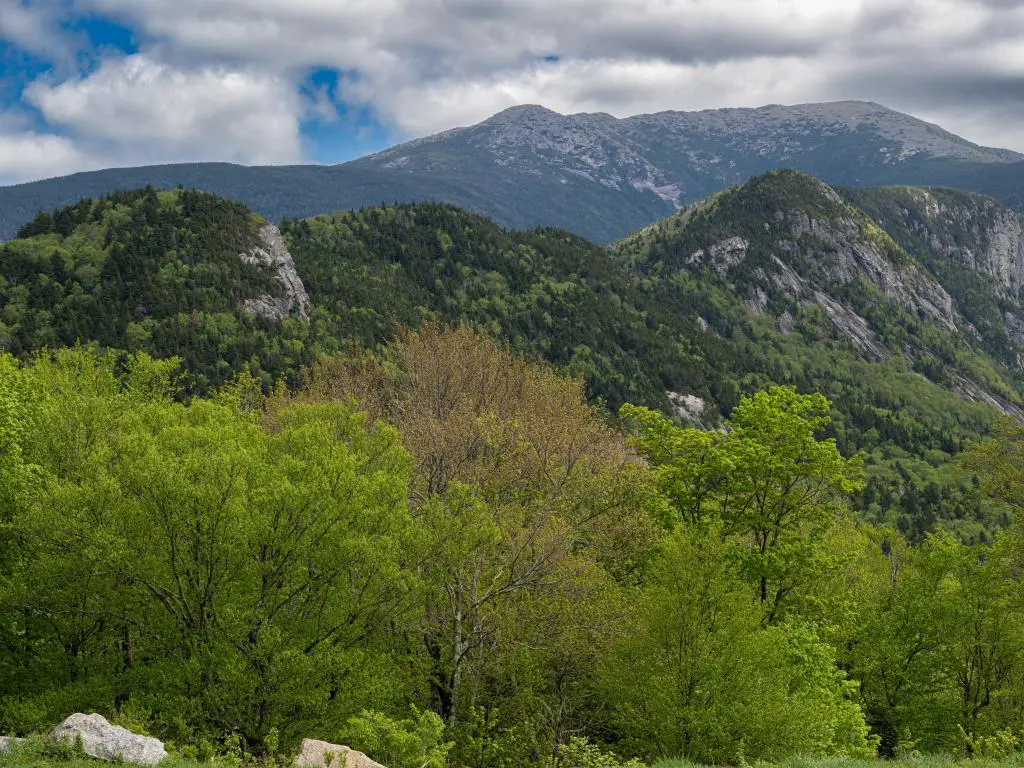 Bosque Nacional White Mountain en New Hampshire, EE.UU. con árboles verdes en primer plano y las montañas a lo lejos en un día soleado y nublado. 