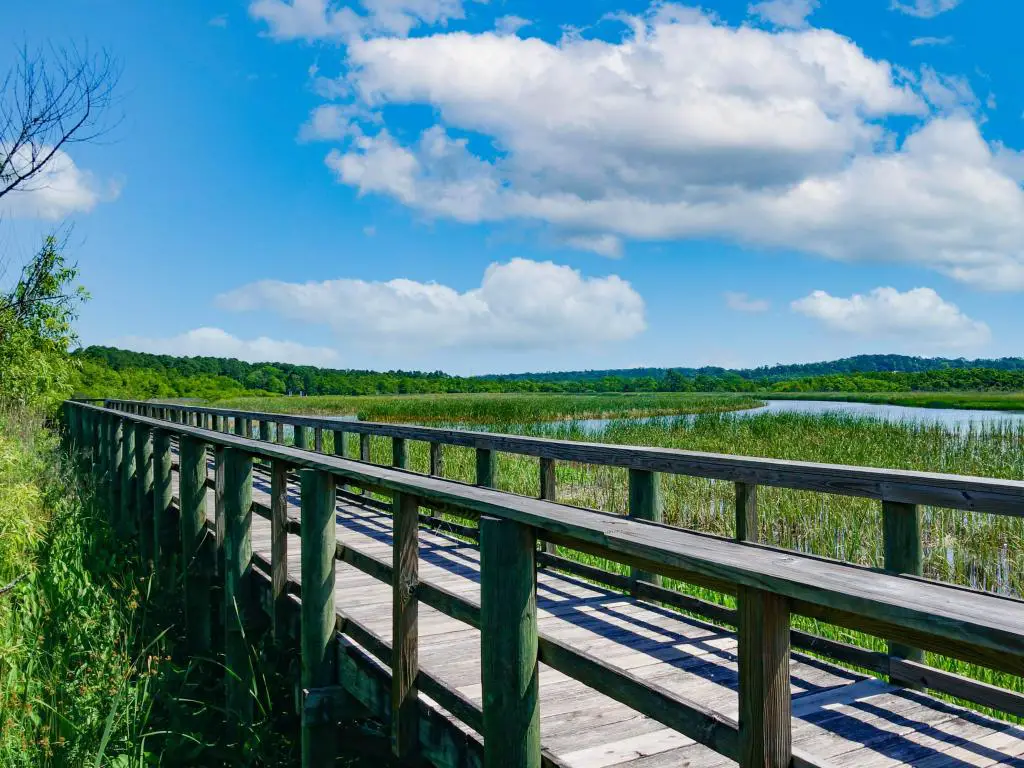 Meaher State Park en Mobile Bay, Alabama en un día soleado.  La foto muestra un puente ubicado entre exuberantes zonas verdes.