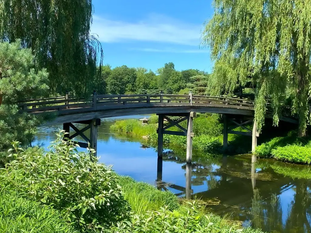 Jardín Botánico de Chicago, Illinois, EE.UU. Tomado en el Puente del Jardín Japonés con vegetación en primer plano y un río, árboles en la distancia y tomado en un día soleado.