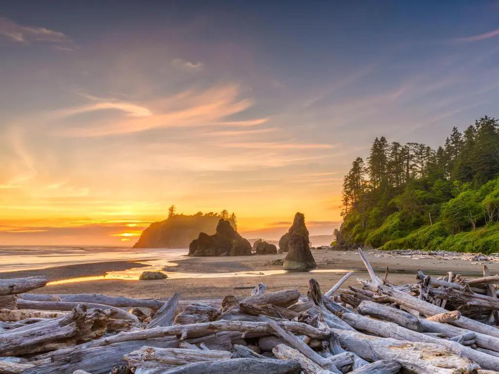 Parque Nacional Olympic, Washington, EE.UU. tomada en Ruby Beach con montones de madera muerta en primer plano, árboles y la puesta de sol en la distancia. 