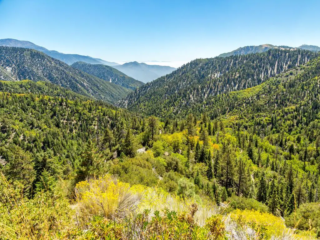 La vista del valle de Big Bear Creek en el Bosque Nacional de San Bernardino desde Butler Peak en un día despejado.