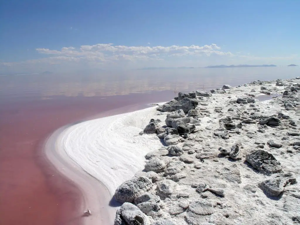 La orilla salada del gran Lago Salado con montañas al fondo.  El agua se ve rosada debido a un alga especial que crece en altos niveles de sal.  Las nubes flotan en el cielo.