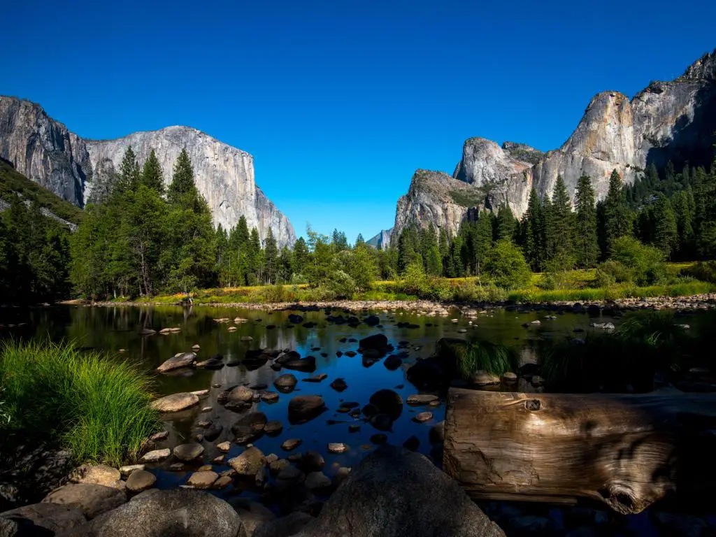 Parque Nacional Yosemite, California, EE.UU. tomado en la famosa formación rocosa El Capitan en un día soleado y claro con rocas y madera a la deriva en primer plano, árboles y acantilados rocosos más allá del lago. 