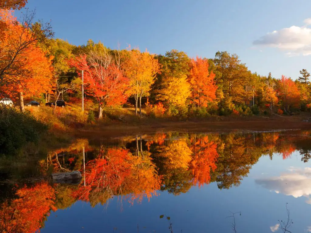 Árboles en colores de otoño reflejados en el agua
