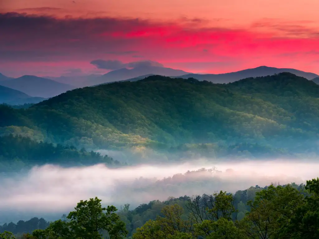 Parque Nacional Great Smoky Mountains, EE. UU. Tomado en primavera durante el amanecer con vistas a la niebla en capas en las montañas con un cielo rojo y árboles en primer plano.