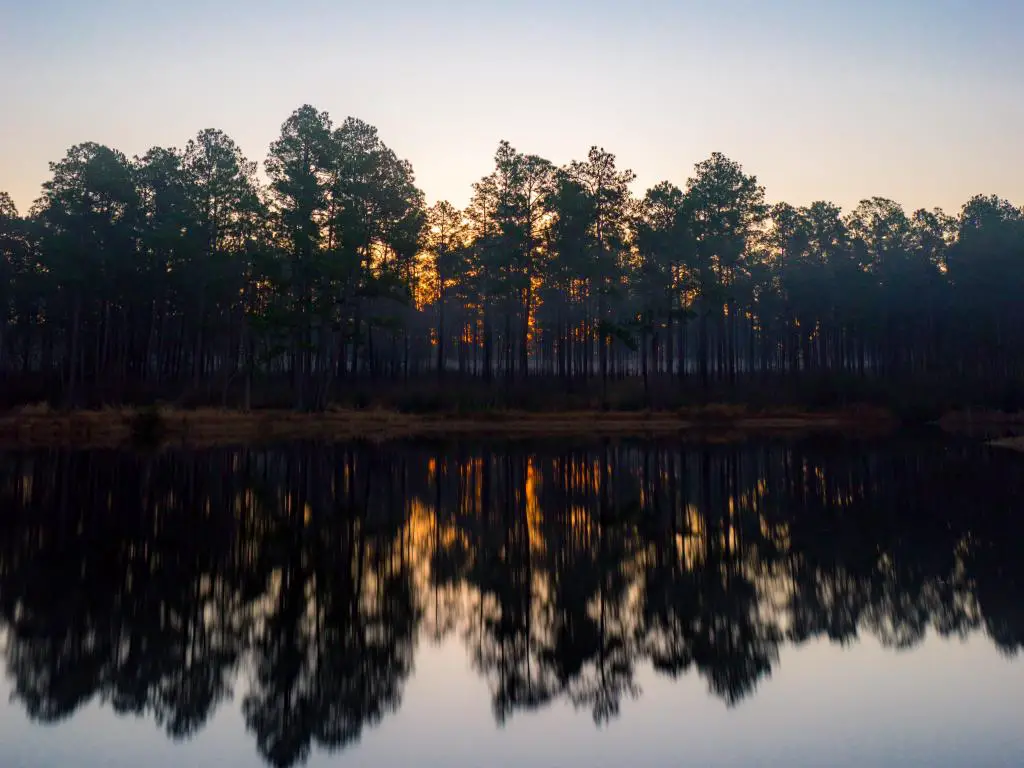 Bosque Nacional De Soto, Mississippi, EE. UU. Tomado en un amanecer brumoso con un lago en primer plano y el Bosque Nacional De Soto en el fondo.