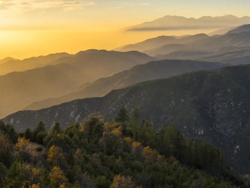 Montañas de San Bernardino, California tomadas al amanecer con un tono amarillo en el cielo y montañas y árboles en primer plano y una niebla en la distancia.