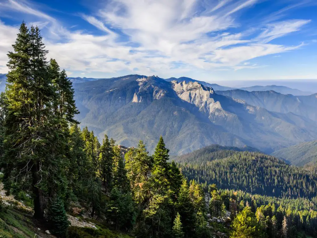 Parque Nacional Sequoia, Sierra Nevada con colinas cubiertas de árboles en primer plano mirando las montañas en la distancia en un día soleado. 
