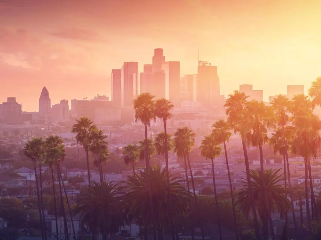 Vista de la puesta de sol caliente de Los Ángeles con palmeras y el centro de la ciudad en segundo plano.  California, EE.UU.
