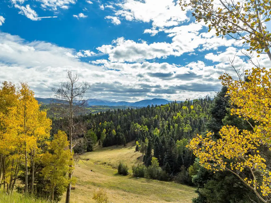 El Enchanted Circle Scenic Byway es un desvío panorámico de Nuevo México de 84 millas y un desvío panorámico del Bosque Nacional alrededor de Wheeler Mountain ubicado en el norte de Nuevo México.  Comienza y termina en Taos, Nuevo México.