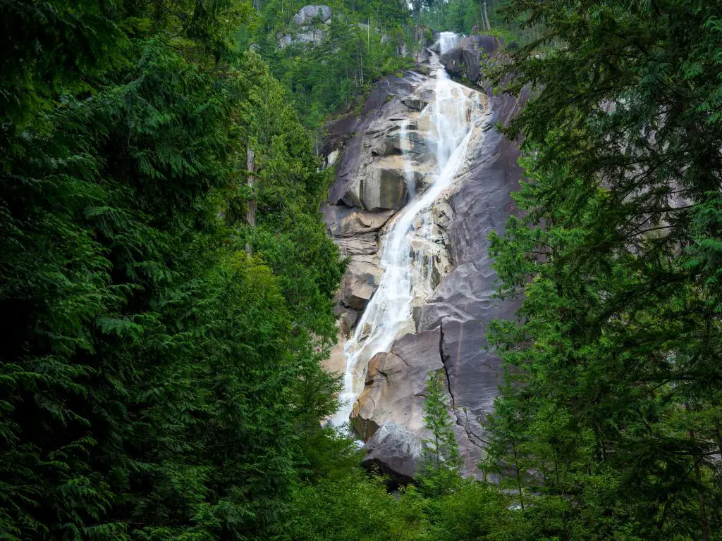 Shannon Falls, Canadá, con una hermosa cascada rodeada de altos árboles verdes.
