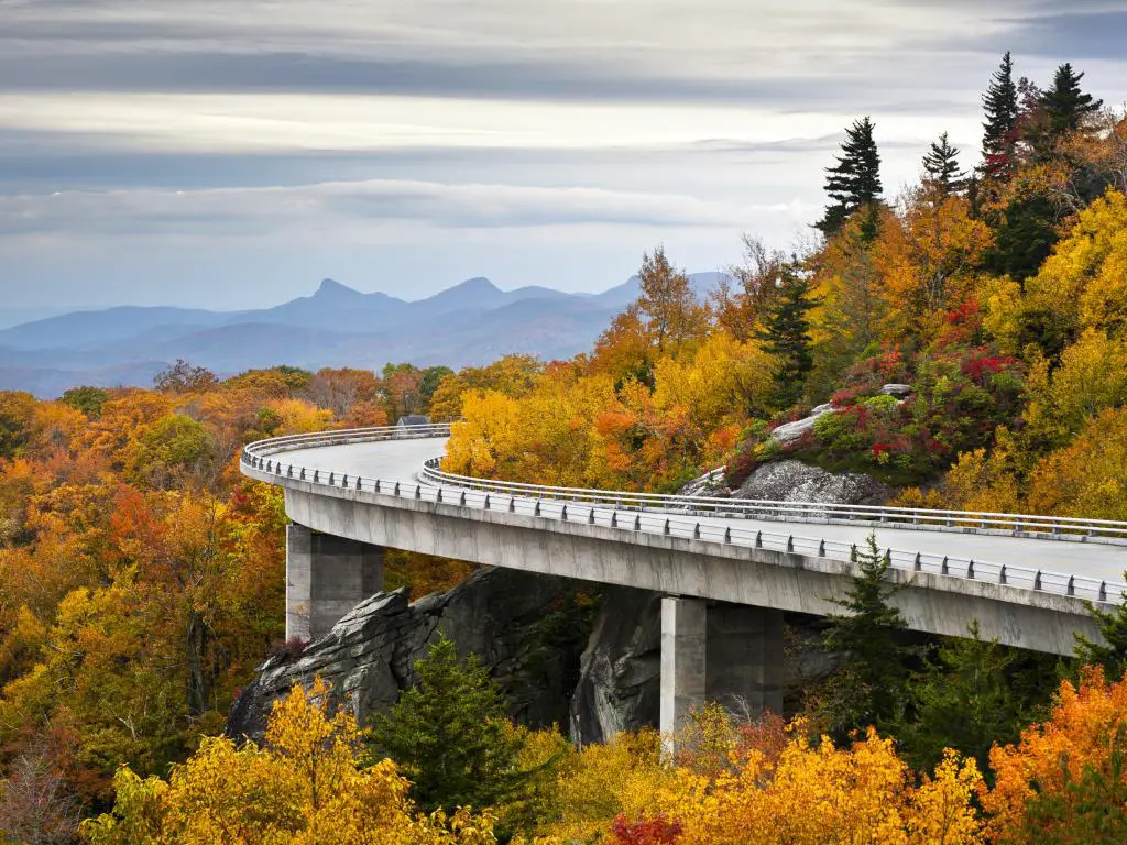 Blue Ridge Parkway Oeste de Carolina del Norte.  Viaducto de Linn Cove rodeado de follaje de otoño con Grandfather Mountain al fondo.