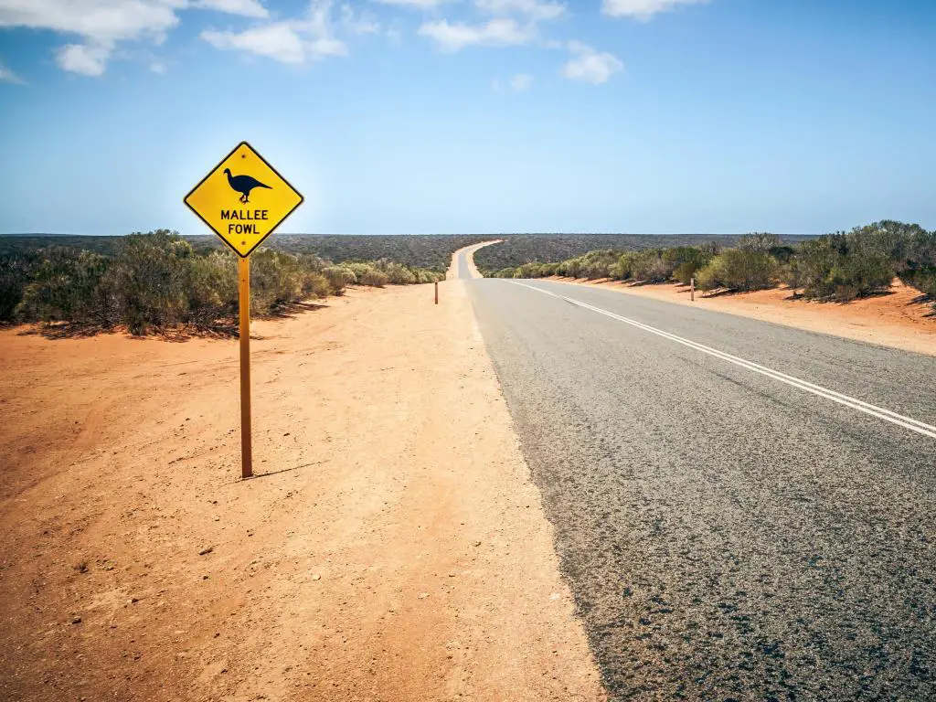 Una imagen de una señal de tráfico de Australia Mallee Fowl junto a una carretera que cruza el interior