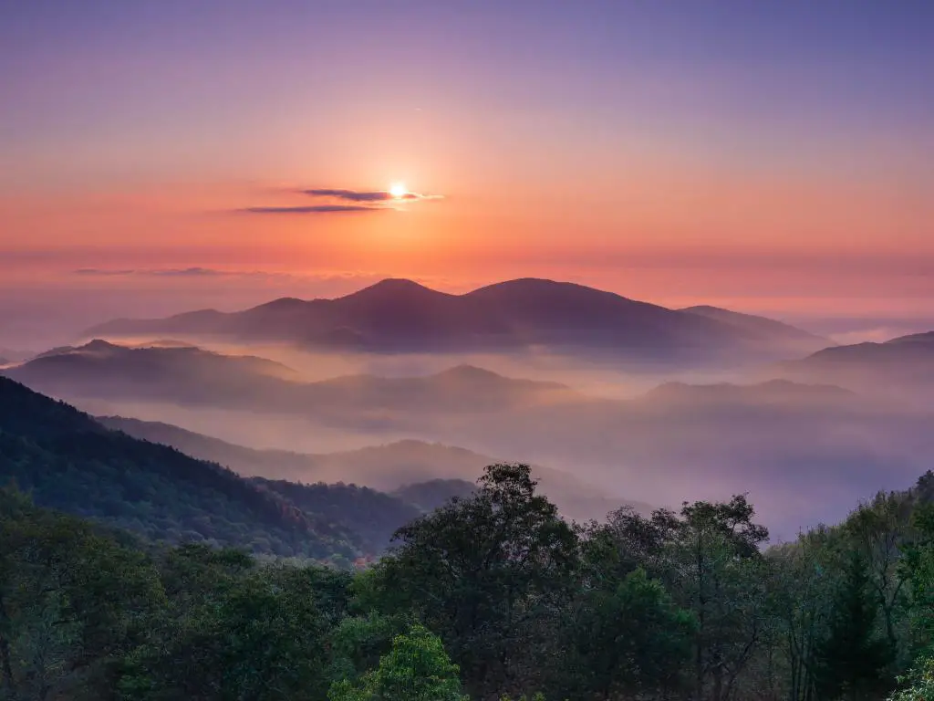 Vista a través del paisaje montañoso boscoso con luz rosa y azul temprano en la mañana