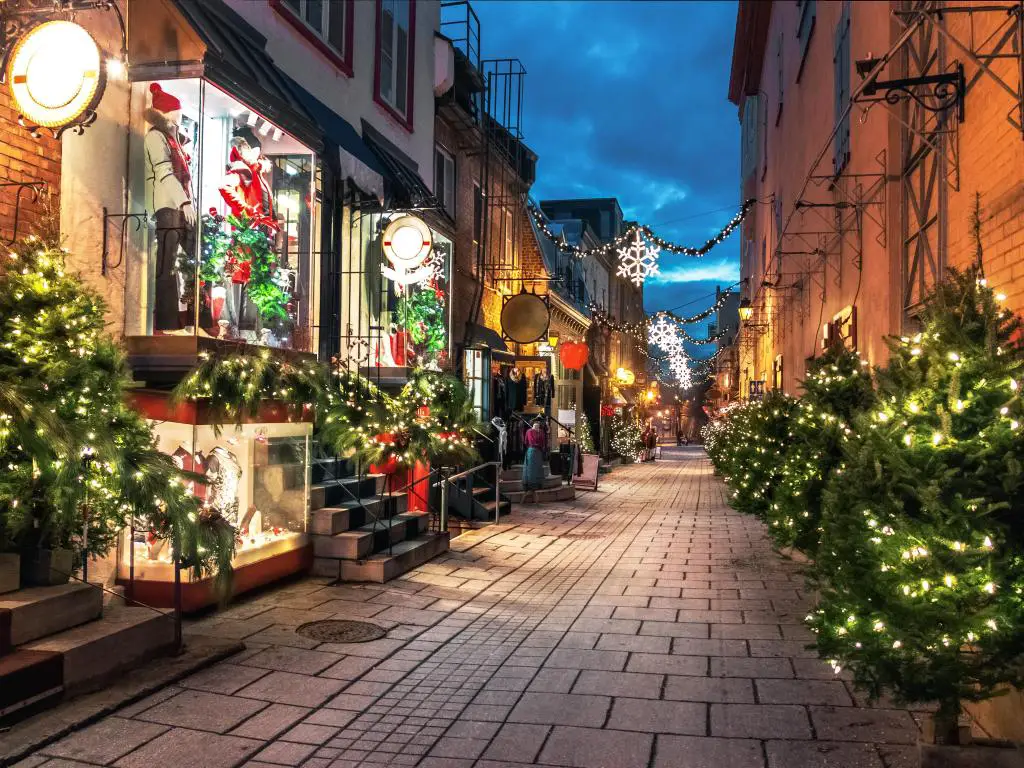 Calle tranquila por la noche con boutiques, árboles de Navidad decorados con luces blancas